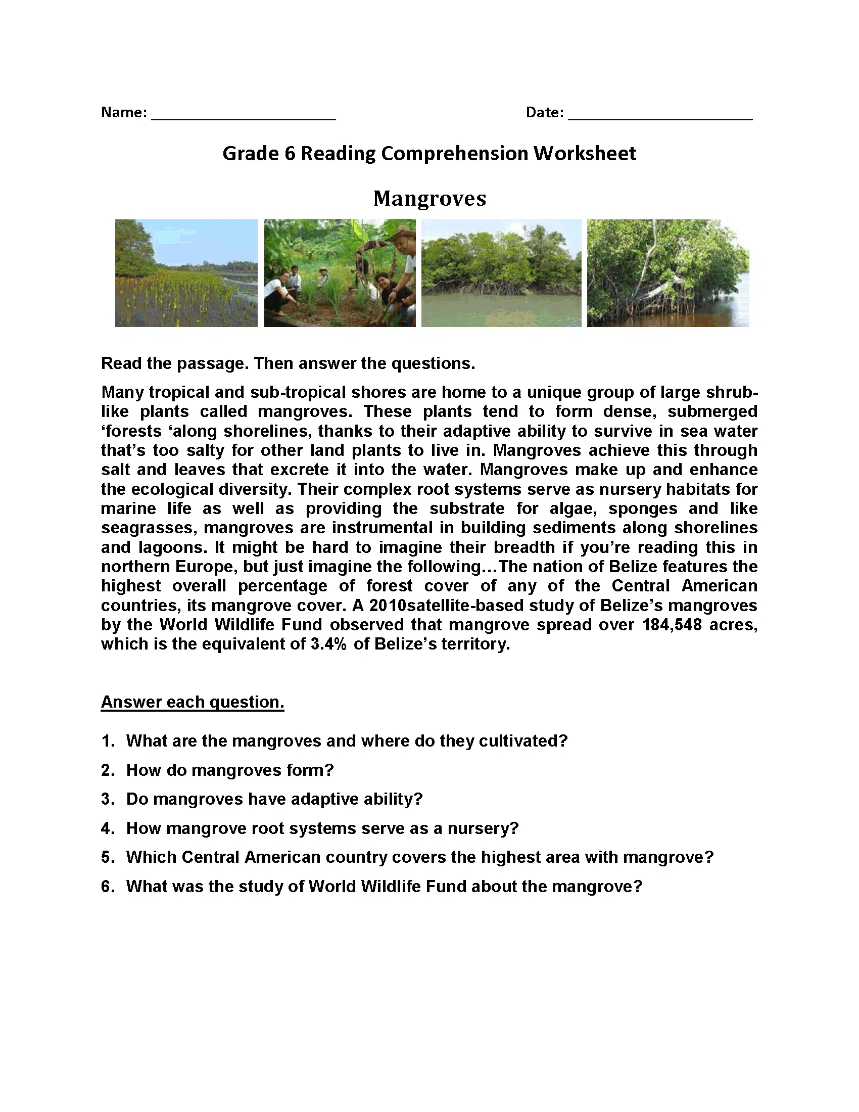 Mangroves Reading Comprehension 6th Grade Mangroves Reading Comprehension 6th Grade