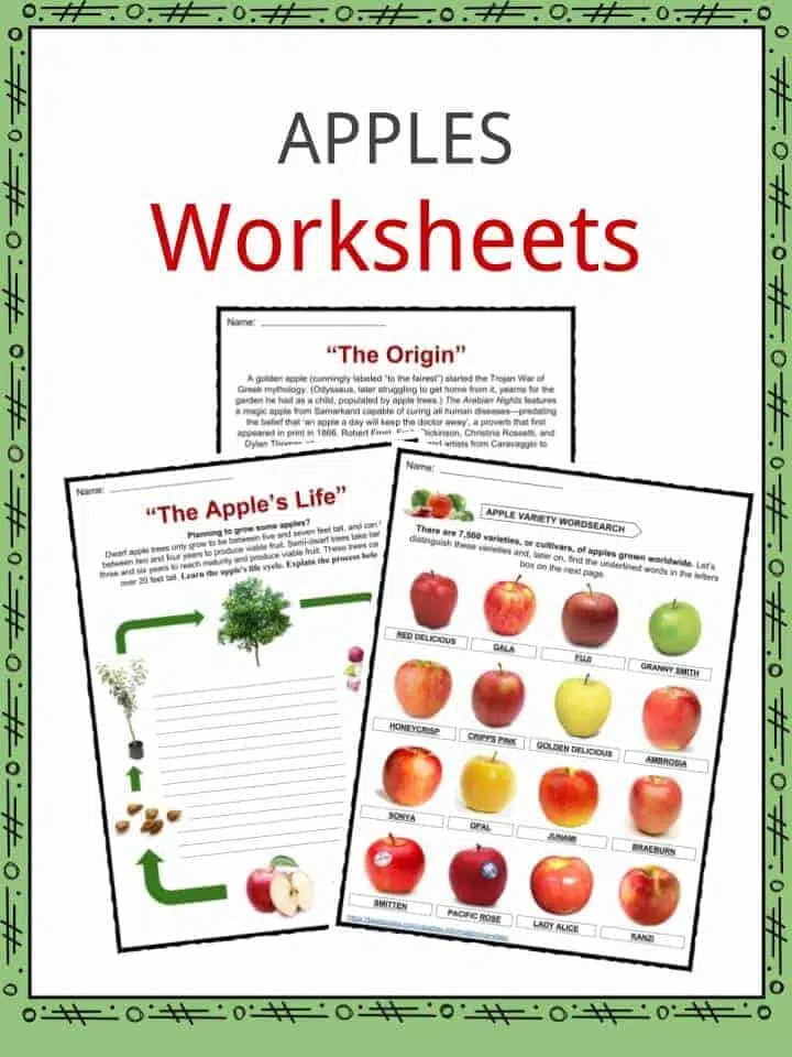 Apples – Cursive Writing Passage Worksheets