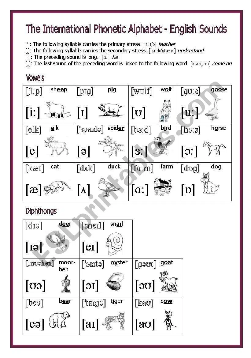 Write letters phonetically worksheet