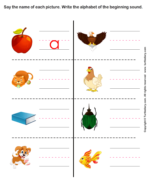Write The Letter Of Beginning Sound Worksheet