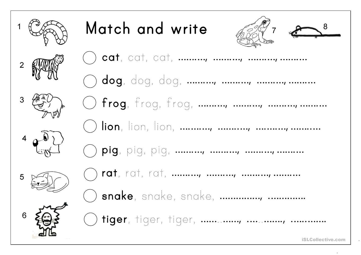Matching Letter Tracing Writing