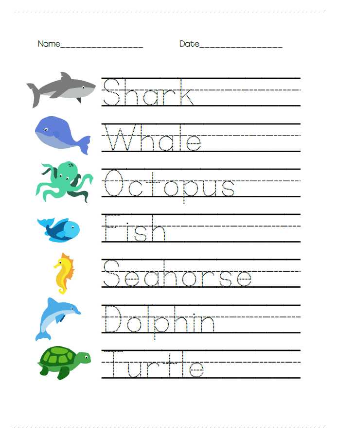 Ocean Animal Math And Writing Worksheets For Prek Cookies Racecars