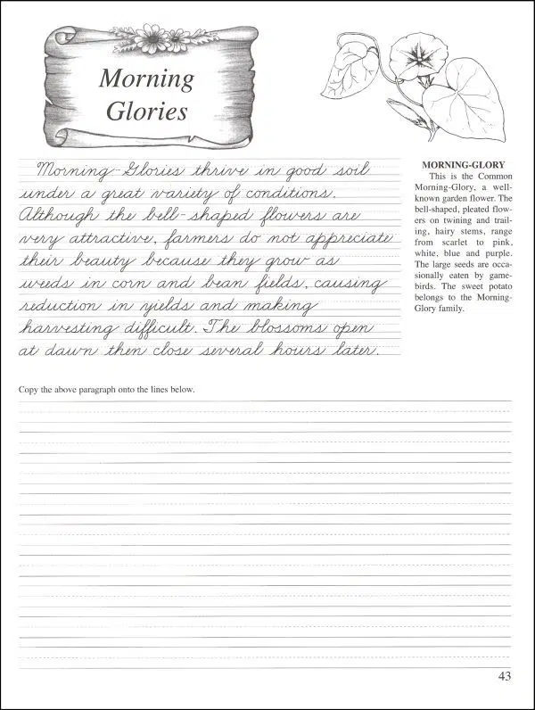 Pentime Cursive Grade Details