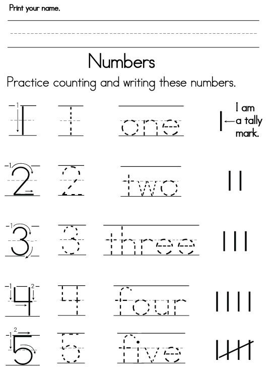 Pre Kindergarten Worksheets Numbers